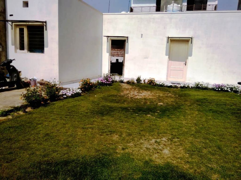 The Lawn and Offices